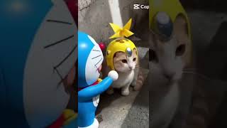 Pocket cat #funny #youtubeshorts #kidsfun #animals #animalshorts #cat #pocket #amime