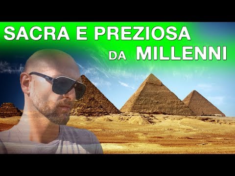 Quello che sarà con lentiggini dopo un sunbed Il siero da pigmentary nota i cosmetici bielorussi