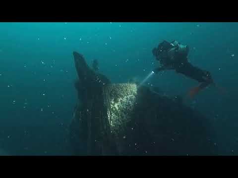 Vidéo du Balena 2022