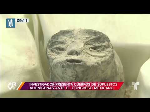 JAIME MAUSSAN ENTREVISTA PERU CANAL N - MOMIAS EXTRATERRESTRE DE NAZCA (JAIME EXPLOTA DE CORAJE)
