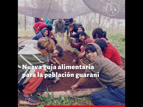 Presentaron una adecuación gráfica alimentaria para la población mbya guaraní de Misiones