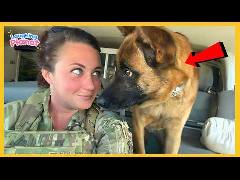 🐕When You Have a Comedian Dog in Your House 😂 | Funniest Dog Videos