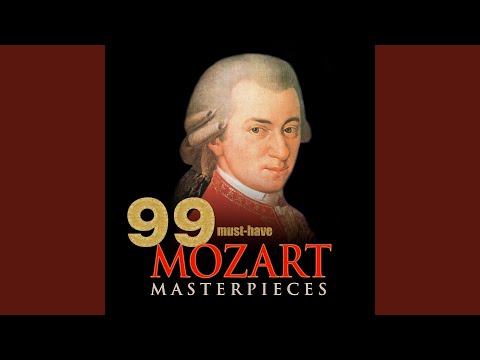 The Magic Flute, K. 620: "Der Vogelfänger bin ich ja" (Instrumental Version)