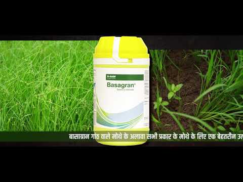 Liquid Basf Basagran Bentazone 48% SL, 1 litre