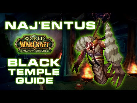 Naj'entus, High Warlord in depth Guide TBC Classic // Talk the Tactics - Black Temple