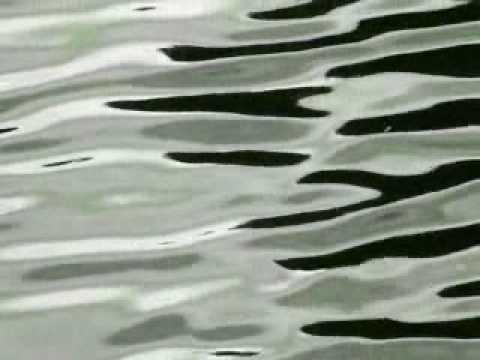 Taxi - Yes, it's true