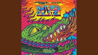 Natural Disaster (Extended Mix)