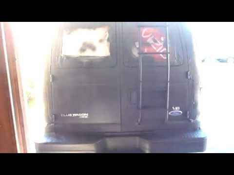 Back door Van Ladder for the rear door Install Project Econoline Part 8 Surco products 103H