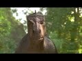 Dinosaur Trailer PPA1