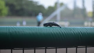 2024.04.28 練習試合