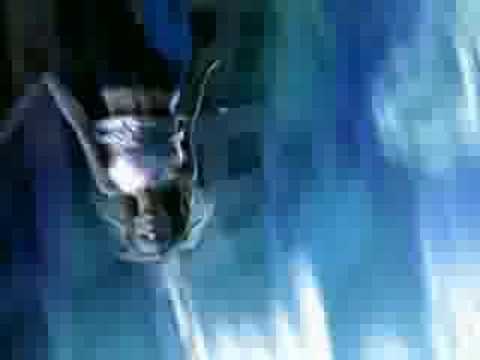 DKNY Donna Karan New York Commercial