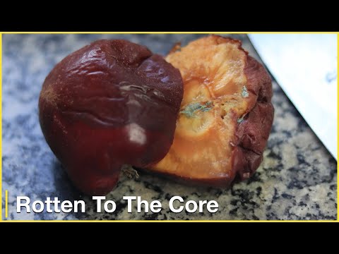 Rotten to the core | speak like a native with English idioms you need to know – Lesson 3