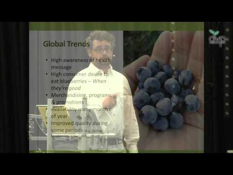 Driesvenplant, Open dag Fall Creek EN