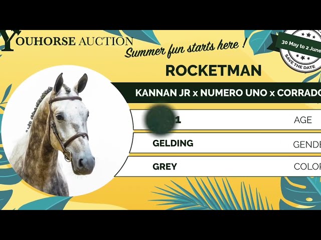 Rocketman showvideo