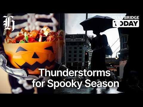 Thumbnail for Thunderstorms for spooky season, but will it clear up for trick or treating? | Ryan Bridge TODAY