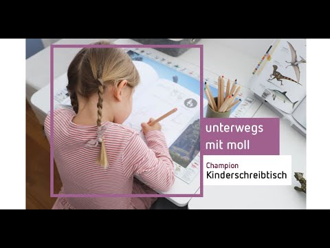 Unterwegs mit moll: Dein Lernplatz