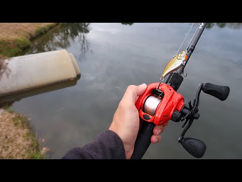 $1 WALMART Fishing Lure (Does it Catch Fish?) Video
