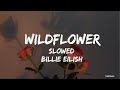 Billie Eilish Wildflower Slowed Lyrics