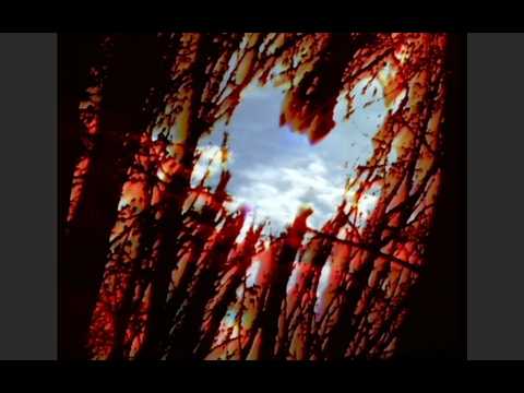 Bibio & Dorian Concept – Hammock Portal (Official Video)