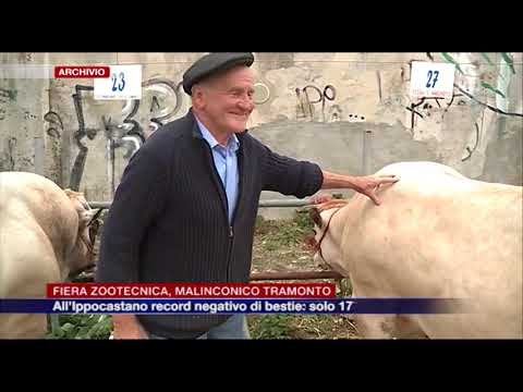 Fiera zootecnica, malinconico tramonto: all'Ippocastano record negativo, solo 17 bestie