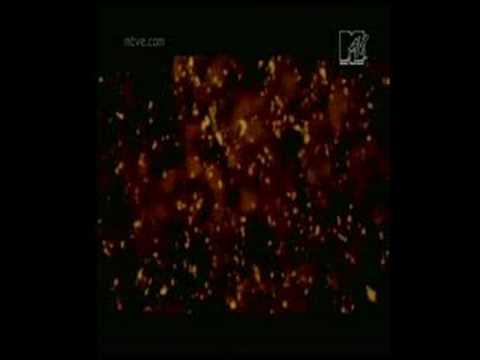 Storm - Storm Animal (2000)