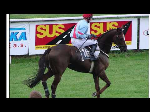 klip a 1 kvalifikace na 117.VP