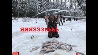Ловля язя зимой на удочку