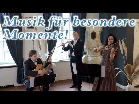 Trio "Classic Deluxe"  Meister der Musik für jeden Anlass #trioclassicdeluxe #eventtrio #eventgeige