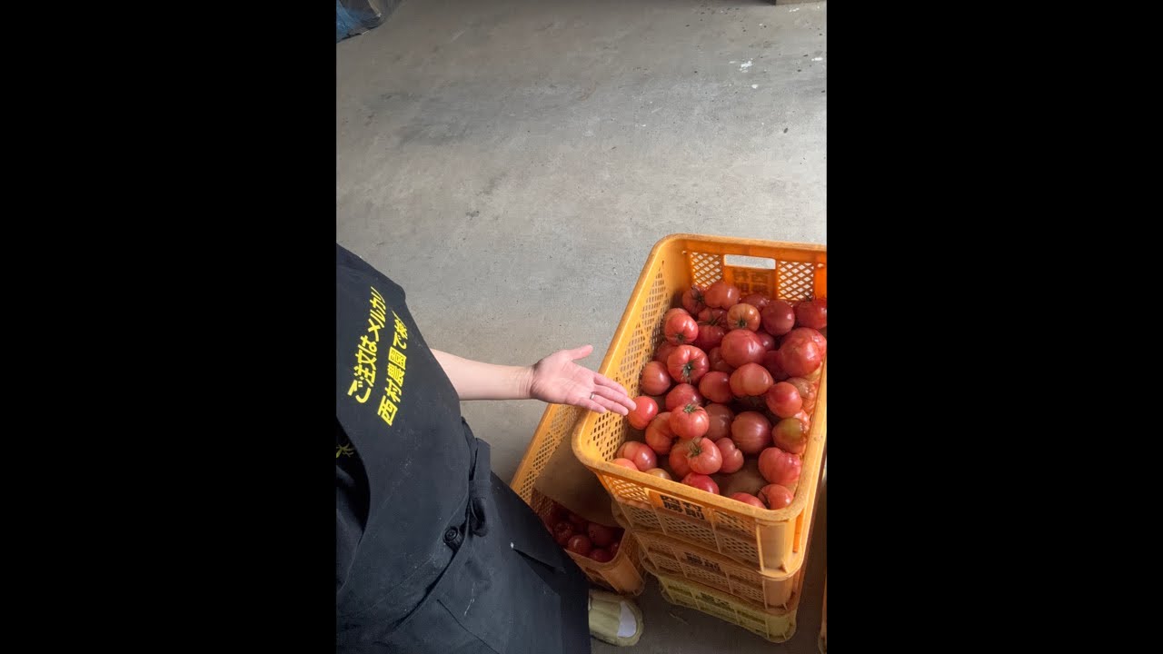 農家の嫁。Youtuberになる がライブ配信中！