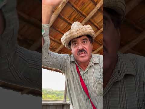 27 de setembro de 2024