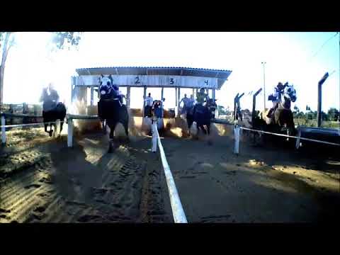 JOCKEY CLUB DE SINOP MT FINAL DO 4° GP REY DO NORTAO 2022. A GRANDE FINAL ANIMAL CAMPEÃO NIKE LAKE