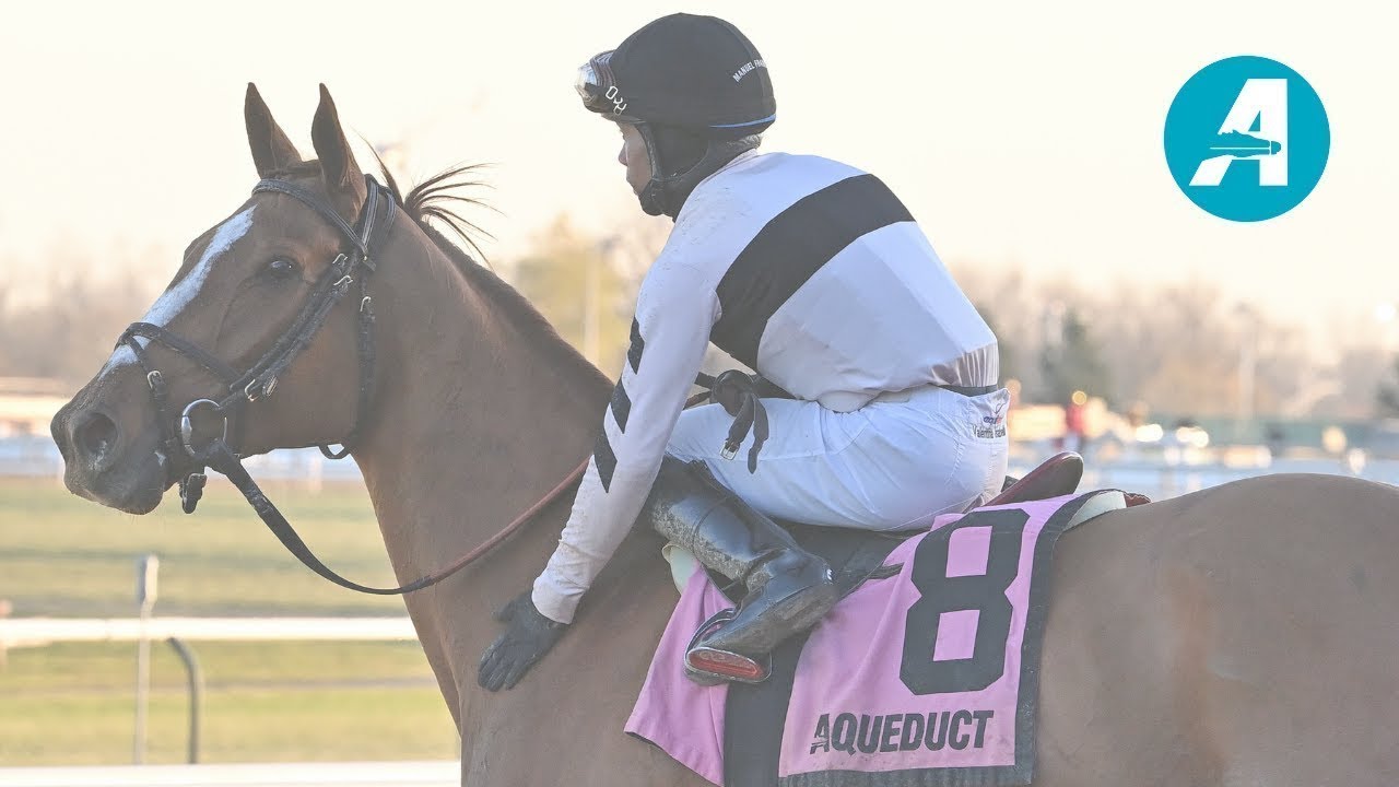 Talking Horses - April 10, 2026