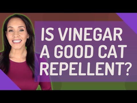 Is Vinegar a good cat repellent?