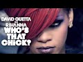 David Guetta feat Rihanna - Who's That Chick ...