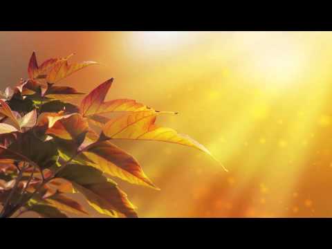 Tao Te Ching by Lao Tzu Chapter 20, I alone am dark