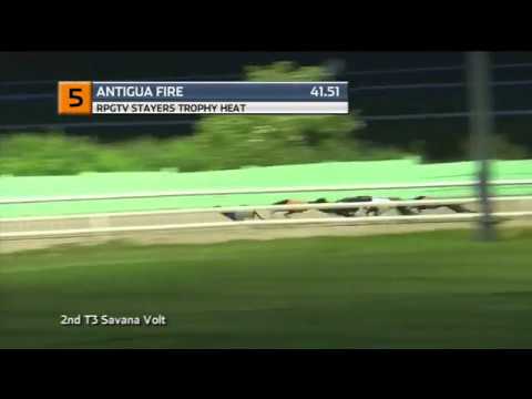 2019 RPGTV STAYERS TROPHY - HEAT 1 - T5 ANTIGUA FIRE