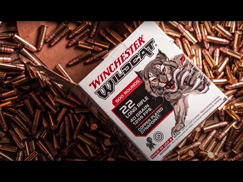 Perfect Ammo for Hunting & Plinking | Winchester Wildcat