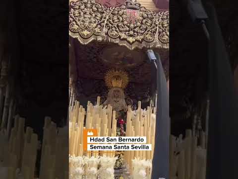 Hdad de San Bernardo - Semana Santa Sevilla  #semanasanta #shorts