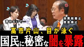 【消費税廃止】参政党の安藤さんがとんでもない事を国会で暴露しました。【安藤裕】【高市早苗】【片山さつき】