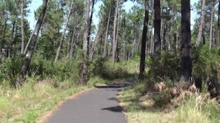 preview picture of video 'Sanguinet - Tour à vélo dans la forêt des Landes'