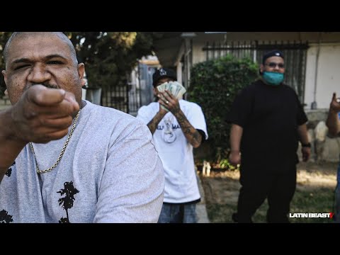 Infinite TGM X Annimeanz - My Way (Official Music Video)