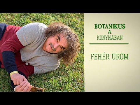 Botanikus a konyhában - 183. Az üröm