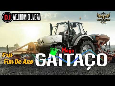 MEGA GAITAÇO PART 8 2019 - FIM DE ANO - ( DJ Wellinton Olliveira )