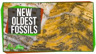 The Oldest Fossils Ever Found!