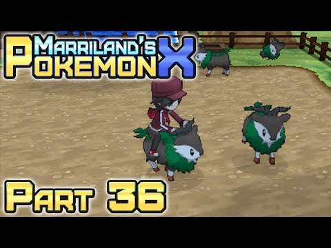 Pokémon X, Part 36: Route 12 & the Baa de Mer Ranch!