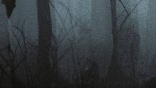 Trentemøller: While the Cold Winter Waiting