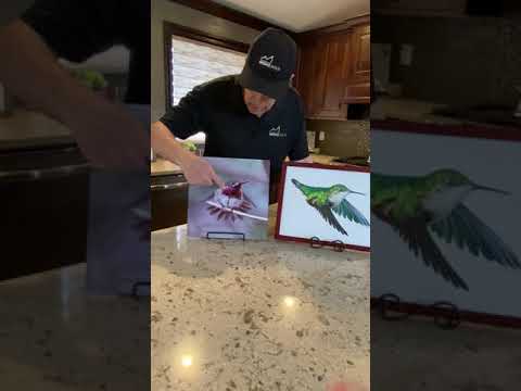 Calliope Hummingbirds by Ken