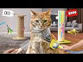 Comparing The Cheapest Vs Most Expensive Cat Products I Could Find