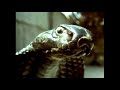 Land Of Legends Really Wild Animals