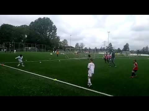 Harde bal zeeburgia - DRC